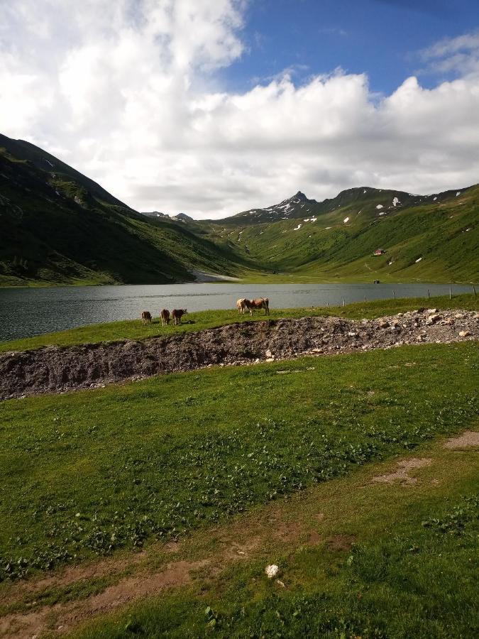 Haus Hoeller Kleinarl Bagian luar foto